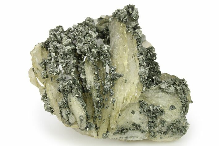 Blue Bladed Barite and Marcasite On Quartz - Morocco #84876